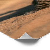 新ヒョウ生まれのクローズアップ ポスター (角)