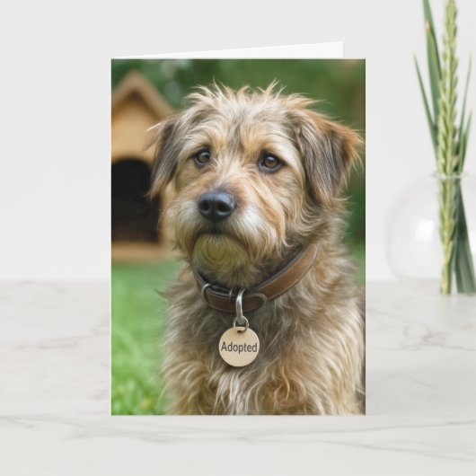 新ペット・犬おめでとう カード (正面)