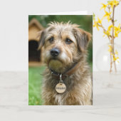 新ペット・犬おめでとう カード (黄色い花)