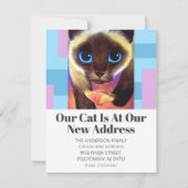 新モダン住所引っ越しましたペット猫文字 案内状 (正面)