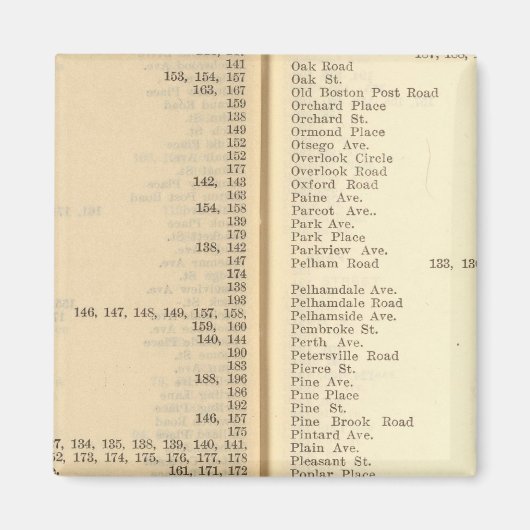 新ロシェル指数 マグネット (正面)