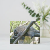 新世界山嵐 ポストカード (スタンド正面)