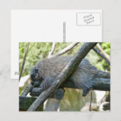 新世界山嵐 ポストカード (正面/裏面)