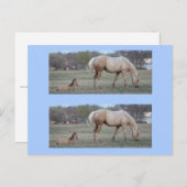 新入生ブックマーカー ポストカード (正面/裏面)