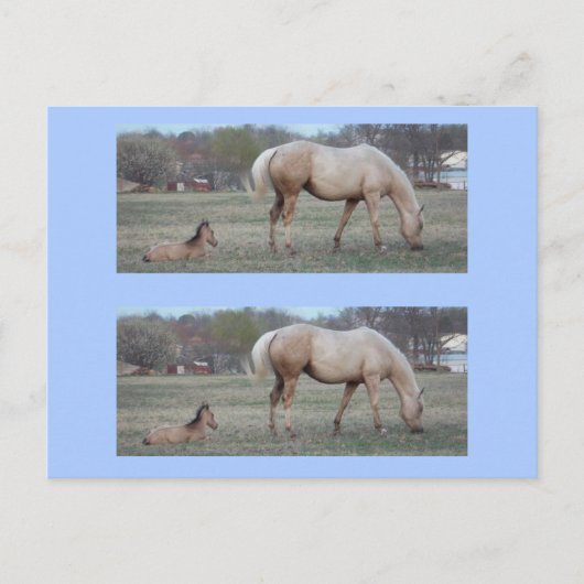 新入生ブックマーカー ポストカード (正面)