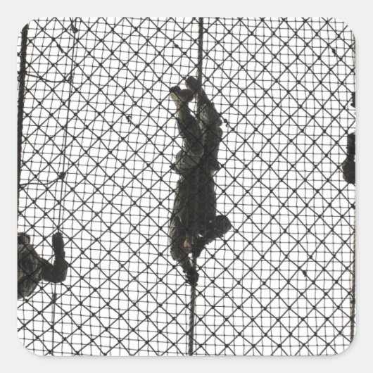 新兵が障害を完遂する スクエアシール (正面)