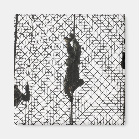 新兵が障害を完遂する マグネット (正面)