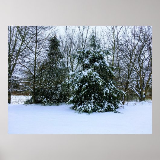 新冬の雪ポスター ポスター (正面)