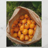 新品のお店 チラシ (正面)