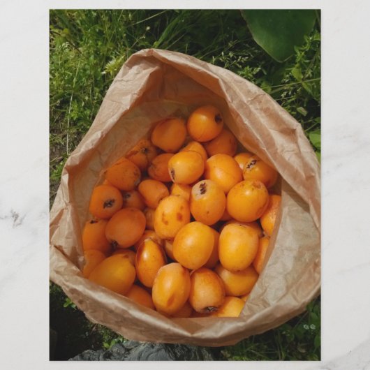 新品のお店 チラシ (正面)