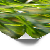 新夏の朝草 ポスター (コーナー)