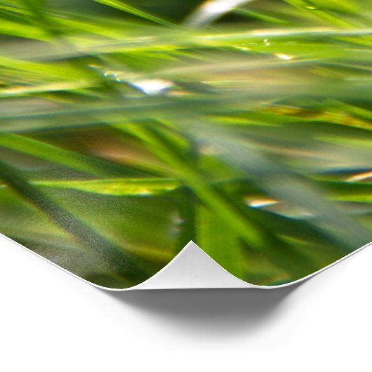 新夏の朝草 ポスター (コーナー)