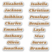 新学期カスタムマルチネーム・ステッカー シール (正面)