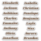 新学期カスタムマルチネーム・ステッカー シール (正面)