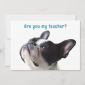 新学期ボストンテリアウェルカムカード 招待状 (正面)