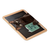 新学期猫読の本のユーモア マグネット (右側)