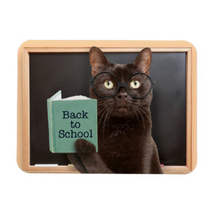 新学期猫読の本のユーモア マグネット
