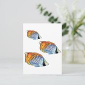 新学期 ポストカード (スタンド正面)