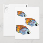 新学期 ポストカード (正面/裏面)