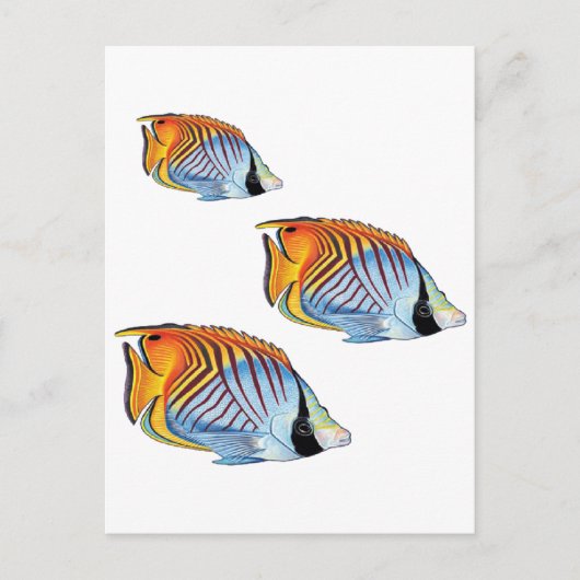 新学期 ポストカード (正面)