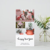 新年おめでとう |ドモダンッグカジュアル写真 シーズンカード (スタンド正面)