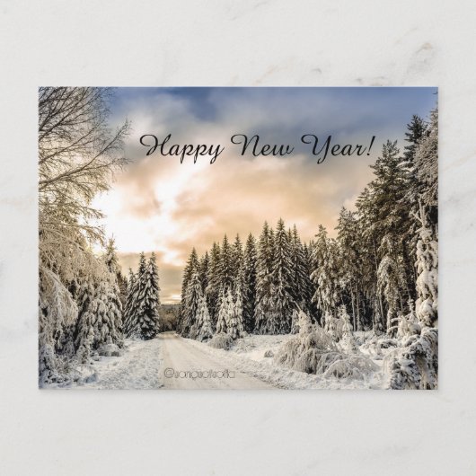 新年おめでとう! ポストカード (正面)