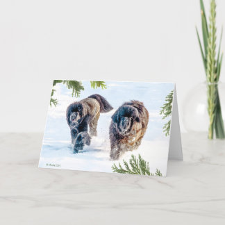 新年に雷が鳴ること! シーズンカード