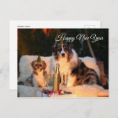 新年のおめでとうおもしろい犬とパーティーハット ポストカード (正面/裏面)
