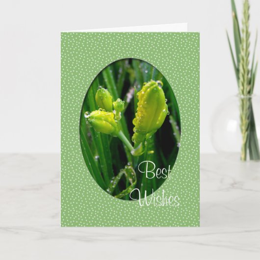 新年の挨拶カード シーズンカード (正面)