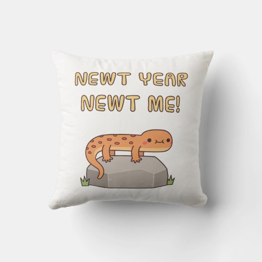 新年の新年おもしろいの決意 クッション (裏面)