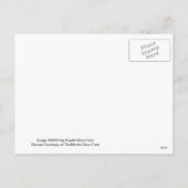 新年の梨マルティきらめくニレシピはがき シーズンポストカード (裏面)