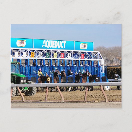 新年の美女Gallantey シーズンポストカード (正面)