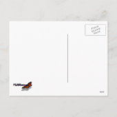 新年の花火の郵便はがき シーズンポストカード (裏面)