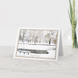 新年の静思：ボストン公共庭園 シーズンカード