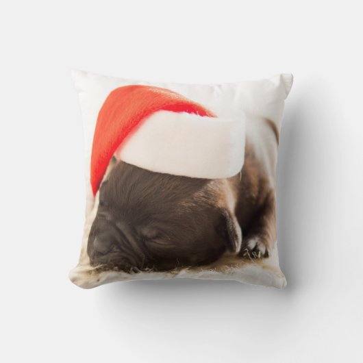 新年を迎える帽子をかぶった犬 クッション (正面)