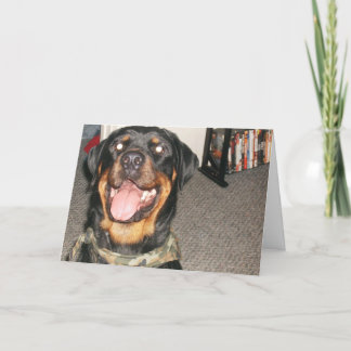 新年002 シーズンカード