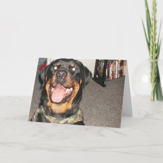 新年002 シーズンカード (正面)