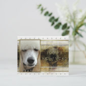 新年 – ゴールデンエレガンス – プードルアプリコット シーズンポストカード (スタンド正面)