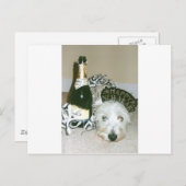 新年 シーズンポストカード (正面/裏面)