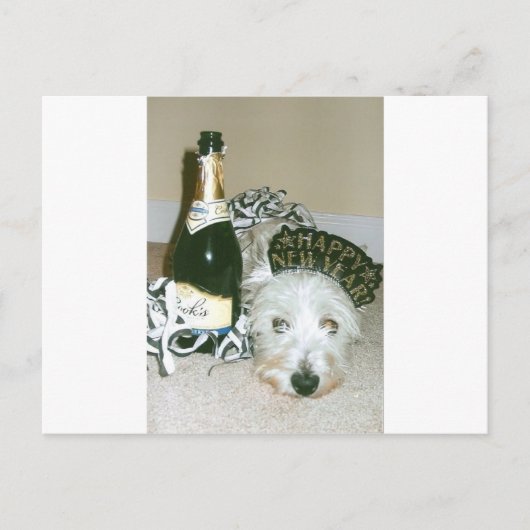 新年 シーズンポストカード (正面)