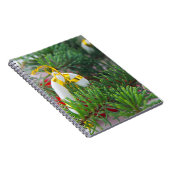 新年 ノートブック (右側)