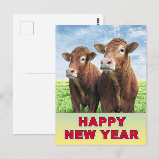 新年 ポストカード (正面/裏面)