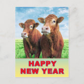 新年 ポストカード (正面)