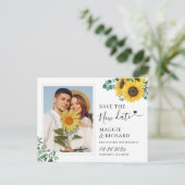 新救日ひまわりユーカリ写真 ポストカード (スタンド正面)