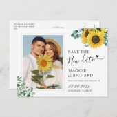 新救日ひまわりユーカリ写真 ポストカード (正面/裏面)