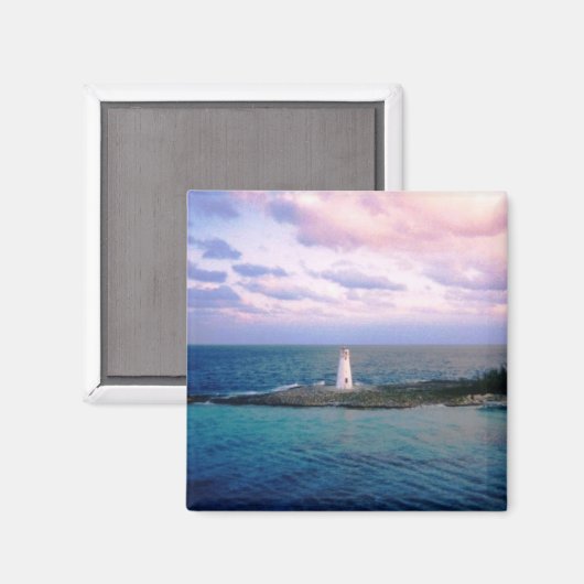 新日磁石 マグネット (正面/裏面)