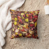 新旧自然の美しい クッション (ブランケット)