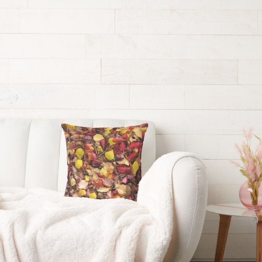 新旧自然の美しい クッション (ソファ)