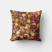 新旧自然の美しい クッション (正面)