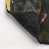 新星及び新 マウスパッド (コーナー)